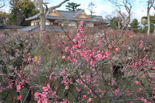 北野天満宮(京都府)