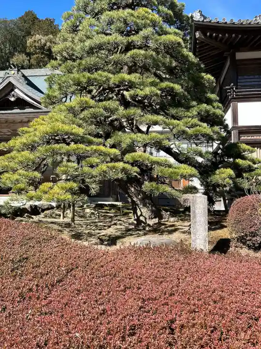 尊永寺(静岡県)
