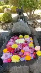 大鏑神社の手水