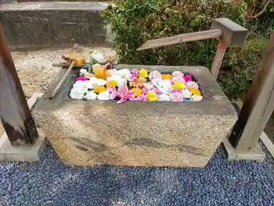 泉柳寺の手水舎