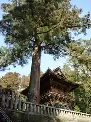 日光東照宮の建物その他