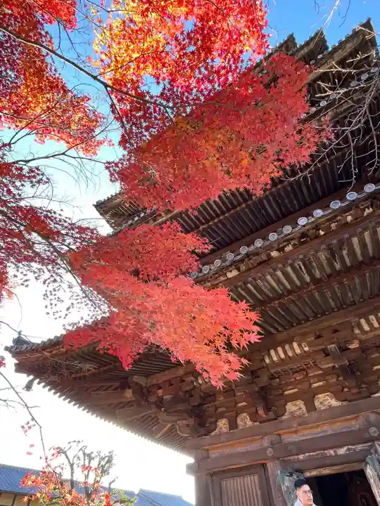 法観寺(京都府)