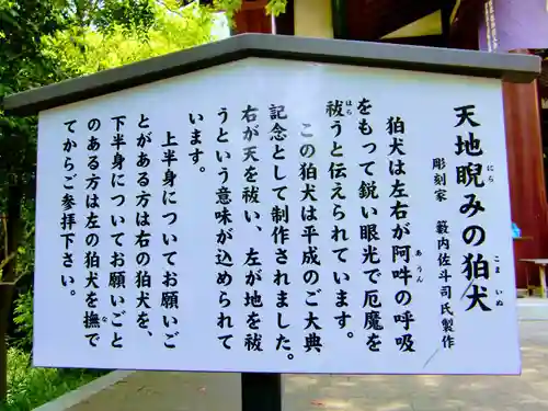 稲毛神社の御朱印