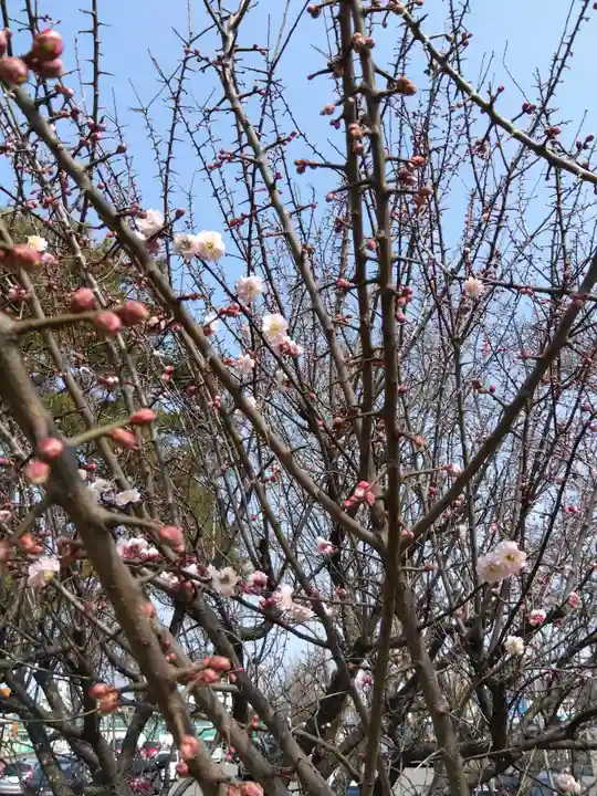 福井別院本瑞寺(福井県)