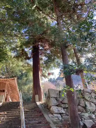 天満神社の自然