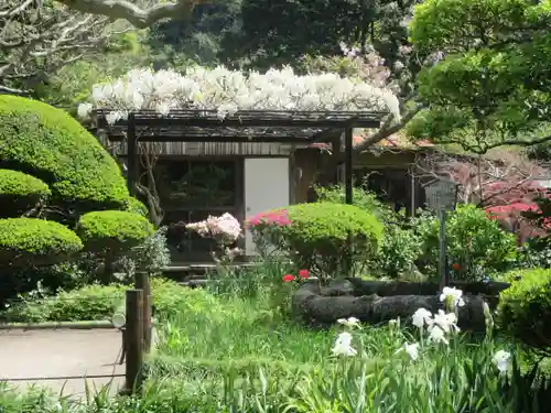 極楽寺（霊鷲山感應院極楽律寺）の景色