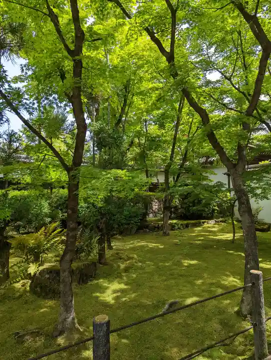 禅林寺(永観堂)(京都府)