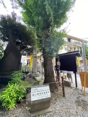 蛇窪神社(東京都)