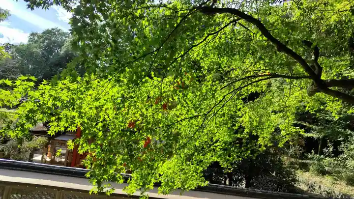 出雲大神宮(京都府)