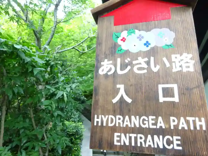 長谷寺(神奈川県)