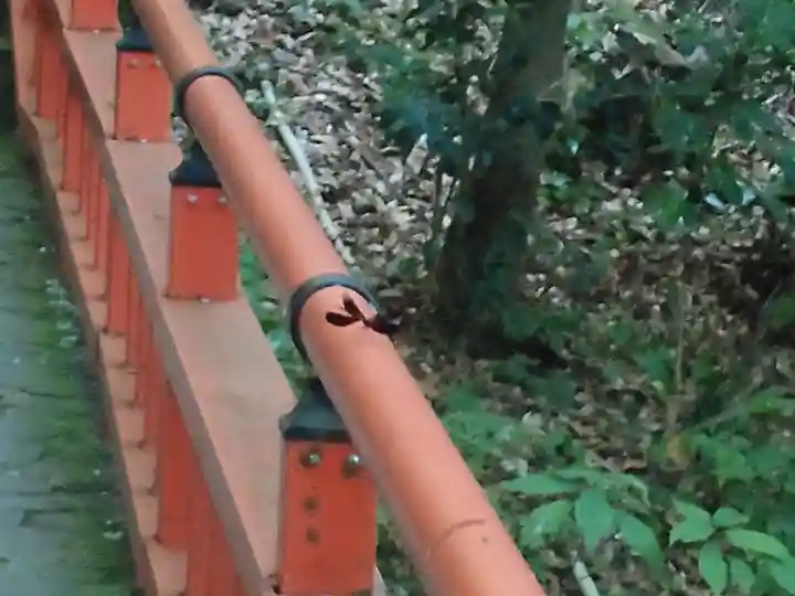 宇佐神宮(大分県)