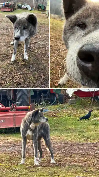 瀧澤龍神(北海道)