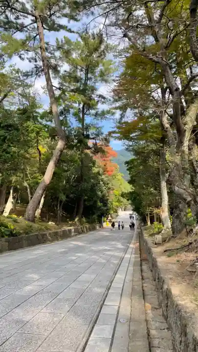 出雲大社(島根県)