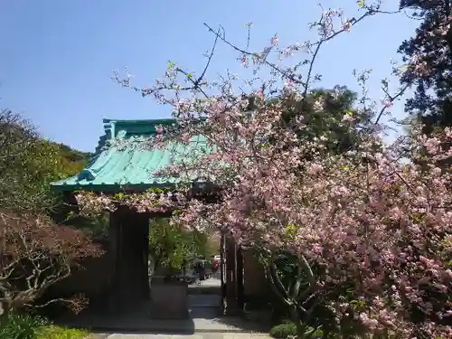 光則寺の山門