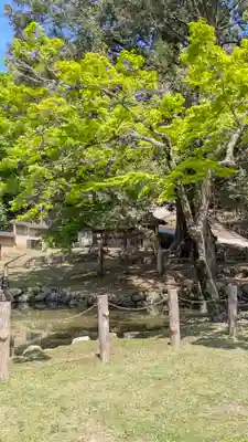 東大寺(奈良県)