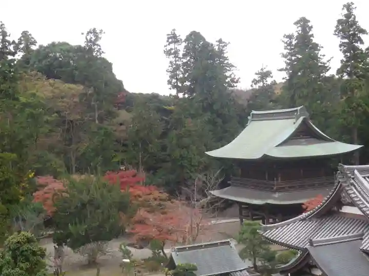 龍隠庵のその他建物
