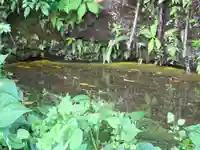 白笹稲荷神社の自然