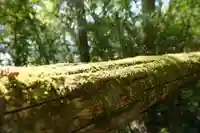 白龍神社(神奈川県)