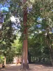 三島神社(愛媛県)