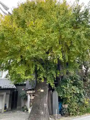 橋場寺不動院（橋場不動尊）(東京都)