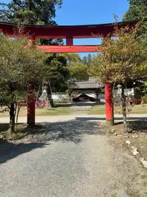 賀茂神社の鳥居