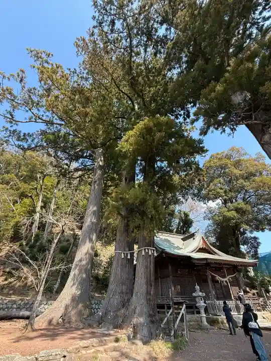 日枝神社の{uncategorized: "未分類", other: "その他", undefined: "問題あり", building: "その他建物", grave: "お墓", sacred_gate: "鳥居", guardian: "狛犬", statue: "像", buddha: "仏像", history: "歴史", nature: "自然", garden: "庭園", animal: "動物", pagoda: "塔", temizu: "手水舎", mountain_gate: "山門・神門", sanctuary: "本殿・本堂", subordinate: "末社・摂社", art: "芸術", scenery: "景色", jizo: "地蔵", ema: "絵馬", goshuin: "御朱印", omikuji: "おみくじ", items: "授与品その他", amulet: "お守り", goshuincho: "御朱印帳", eats: "食事", festival: "お祭り", votive_dance: "神楽", shichigosan: "七五三参", wedding: "結婚式", experience: "体験その他", initially: "初詣", around: "周辺", anti_infection: "感染症対策"}