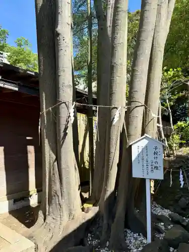検見川神社の{uncategorized: "未分類", other: "その他", undefined: "問題あり", building: "その他建物", grave: "お墓", sacred_gate: "鳥居", guardian: "狛犬", statue: "像", buddha: "仏像", history: "歴史", nature: "自然", garden: "庭園", animal: "動物", pagoda: "塔", temizu: "手水舎", mountain_gate: "山門・神門", sanctuary: "本殿・本堂", subordinate: "末社・摂社", art: "芸術", scenery: "景色", jizo: "地蔵", ema: "絵馬", goshuin: "御朱印", omikuji: "おみくじ", items: "授与品その他", amulet: "お守り", goshuincho: "御朱印帳", eats: "食事", festival: "お祭り", votive_dance: "神楽", shichigosan: "七五三参", wedding: "結婚式", experience: "体験その他", initially: "初詣", around: "周辺", anti_infection: "感染症対策"}