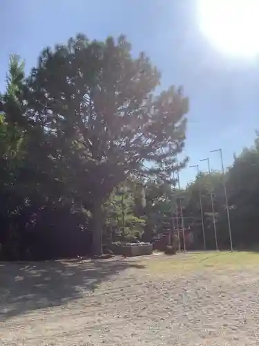 曽野稲荷神社の庭園