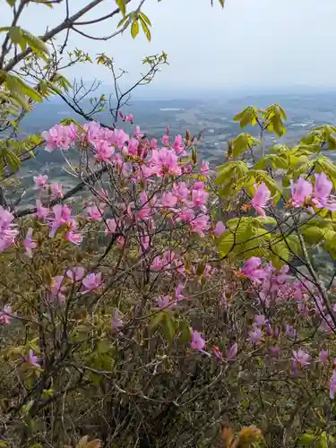 妙義神社 奥の院(群馬県)
