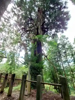 川辺八幡神社(福島県)