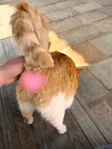 法然寺(香川県)