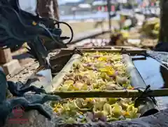 立志神社(滋賀県)