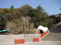鶴岡八幡宮のその他建物