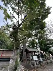 下溝八幡宮(神奈川県)