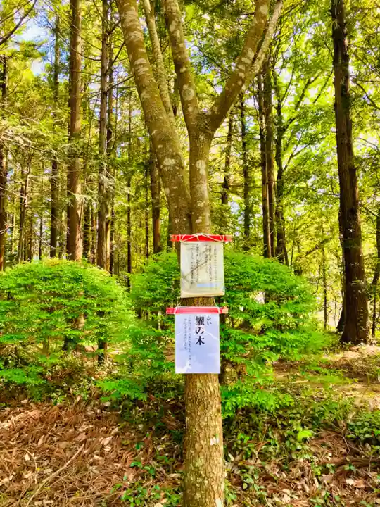 伊保田神社(茨城県)