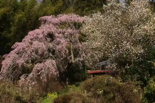 瑞雲寺(福島県)