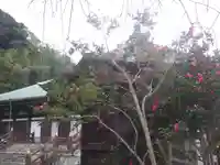 長勝寺の自然