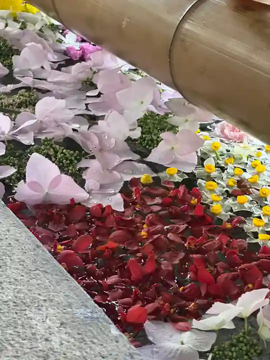 群馬県護国神社(群馬県)