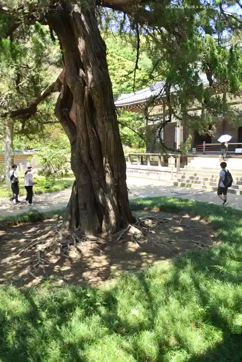 円覚寺(神奈川県)