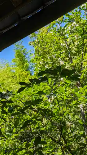 東林院(京都府)