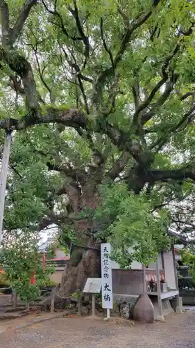 無量寺(愛知県)