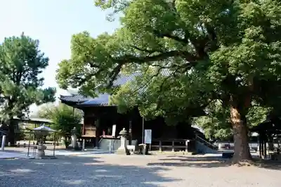 斑鳩寺のその他建物