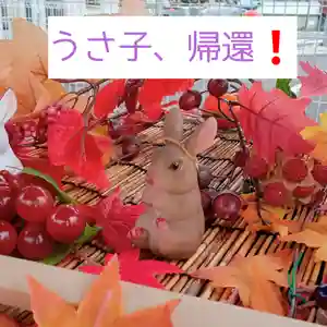 阿邪訶根神社(福島県)(2022年10月05日(水) 23時34分25秒投稿)