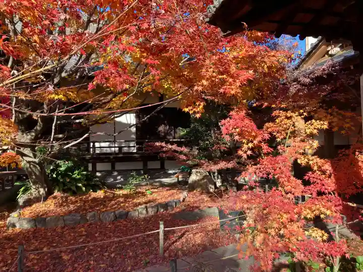 勝林寺(京都府)