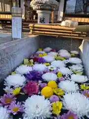 山梨県　昭和町　正覚寺の手水