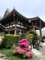 円照寺の本殿・本堂