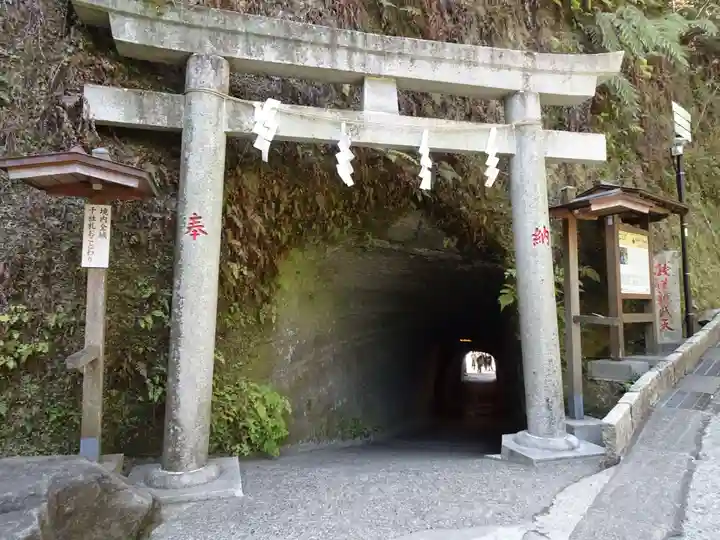 銭洗弁財天宇賀福神社(神奈川県)