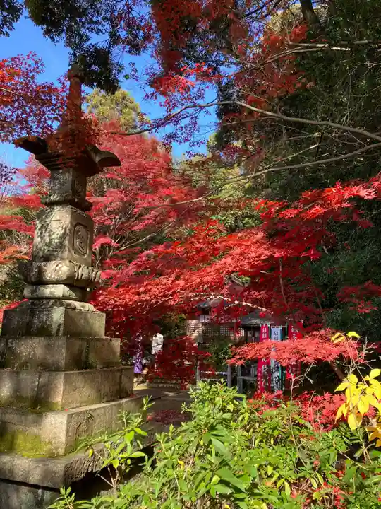 犬山寂光院の自然