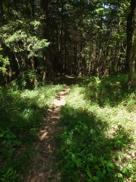 金子神社(埼玉県)