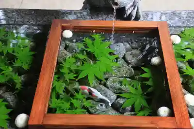 滑川神社 - 仕事と子どもの守り神の手水舎